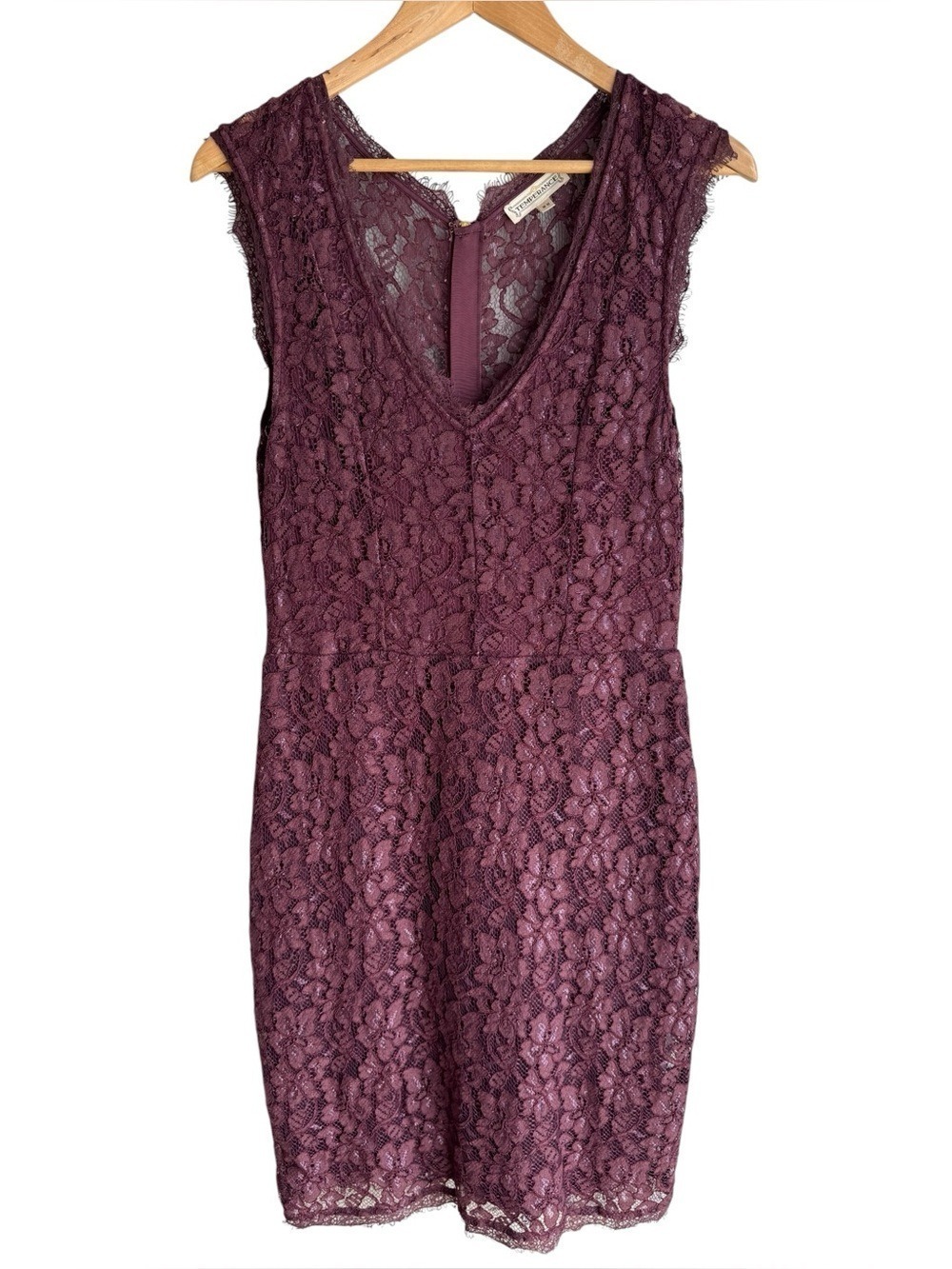 Temperance Romantic Lace Overlay Cocktail Dress Sz M Mulberry Party Sexy Classy